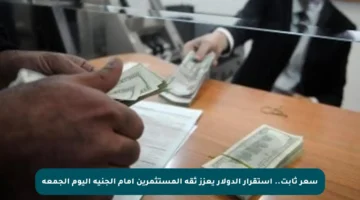 سعر ثابت.. استقرار الدولار يعزز ثقة المستثمرين أمام الجنيه اليوم الجمعة